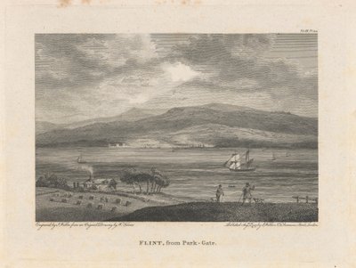 Park-Gate'den Flint by James Walker