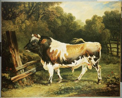 Alderney Irkının Bir Boğası by James Ward
