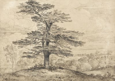 Gölgesinin Altında Gruplanmış Geyik Sürüsü ile Yükselen Bir Sedir by James Ward
