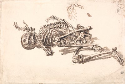 Bir İnsan İskeleti by James Ward