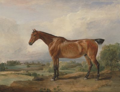 Manzarada Bir Avcı by James Ward