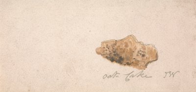 yulaflı kek by James Ward