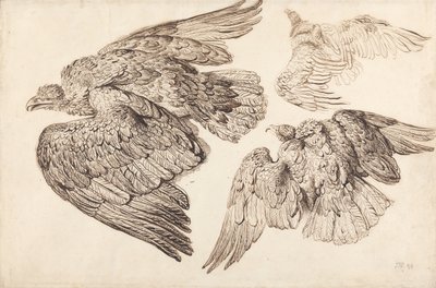  by James Ward