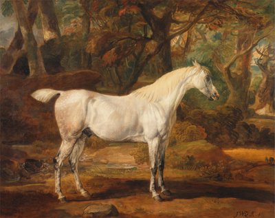 Gri Arap aygırı, Sir Watkin Williams-Wynn'in mülkü by James Ward