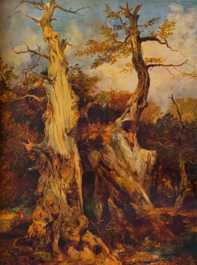 Ormanda, c19. yüzyıl by James Ward