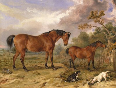 Reformer, Blucher, Tory ve Crib'in Portresi, Rowland'ın Mülkiyeti Alston, Esq., MP [1836, Royal Academy of Arts, Londra, sergi kataloğu] by James Ward