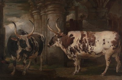 Powis Kontu'nun Malı Olan İki Olağanüstü Öküzün Portreleri by James Ward