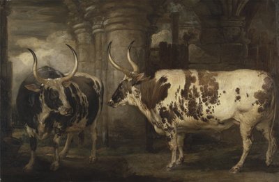 Powis Kontu