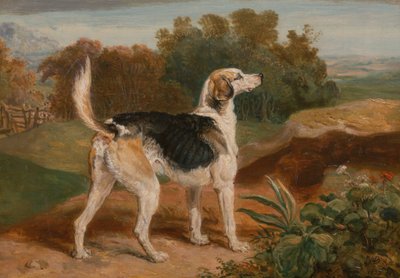 Ravager, Lambton Hounds'tan Biri by James Ward