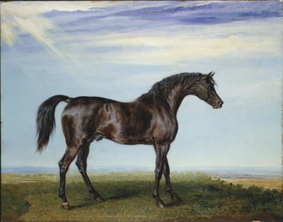 Smolensko, 1826 by James Ward