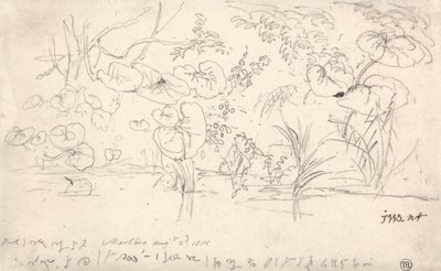 Bitkiler Çalışmaları, 2 Ağustos 1815 by James Ward