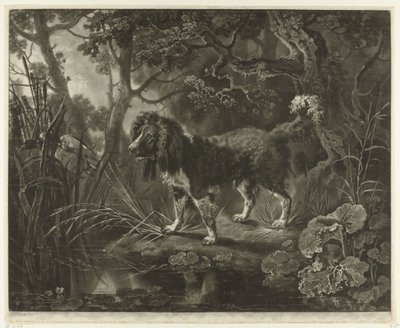 Sahildeki Spaniel ördeğin uçup gittiğini izliyor by James Watson (prentmaker)