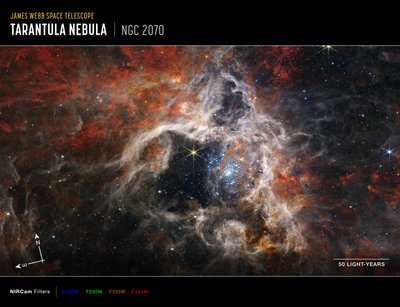 Tarantula Bulutsusu (NIRCam Pusula Görüntüsü) by James Webb Space Telescope (NASA)