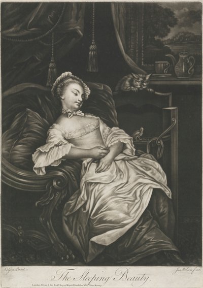Uyuyan güzel by James Wilson