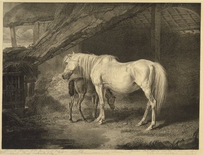 Celebrated Horses