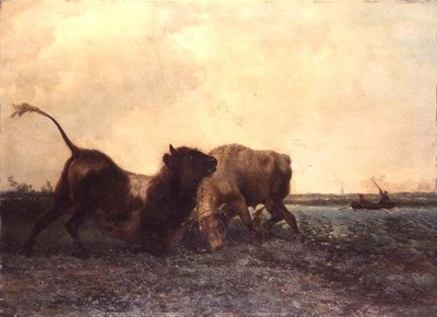 boğa güreşi by Jan Bedys Tom