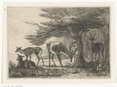 Geyik ile orman kenarı by Jan Bos Wz.