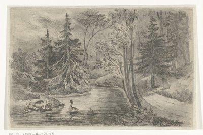 Ördekler ile bir gölet tarafından orman yolu by Jan Bos Wz.