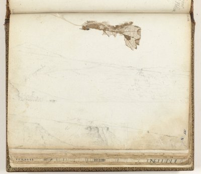 Bay Saint Helena, kurutulmuş yaprak by Jan Brandes
