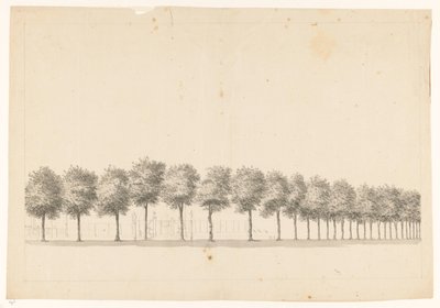 Batavia'daki Bomenallee by Jan Brandes