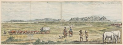 Cape Plains