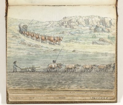 Kapalı vagon ve pulluk için öküz boyunduruğu by Jan Brandes