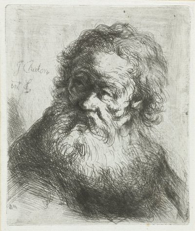 Sakallı yaşlı adam by Jan Chalon