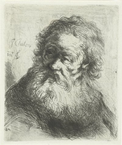 Sakallı yaşlı adam by Jan Chalon