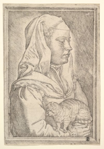 Kedili Kız, 1546. by Jan Cornelisz Vermeyen