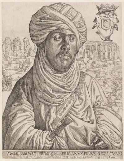  by Jan Cornelisz Vermeyen