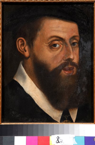 Bilinmeyen resim by Jan Cornelisz Vermeyen