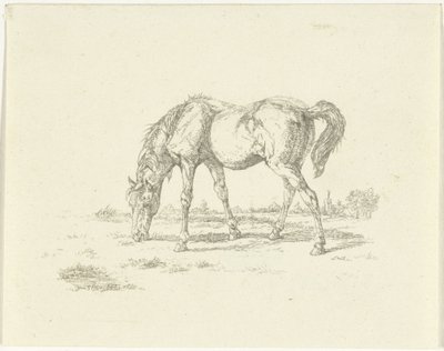 Sağda otlayan at by Jan Dasveldt