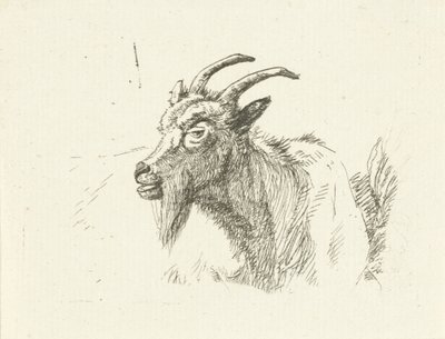 yalancı keçi by Jan Dasveldt