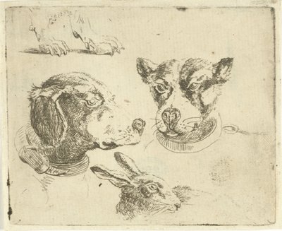 İki köpek kafası, köpeğin bacakları ve tavşan kafası ile çalışma sayfası by Jan Dasveldt