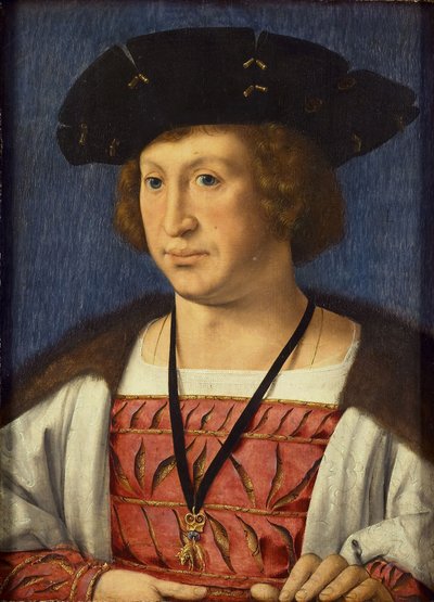 Floris van Egmond 1469-1539, Buren kontu, 1536 by Jan Gossaert