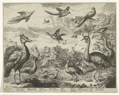 Bir manzarada farklı kuşlar by Jan Griffier (I) (copy after)