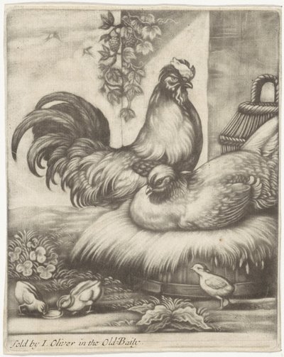 horoz ve tavuk by Jan Griffier (I)