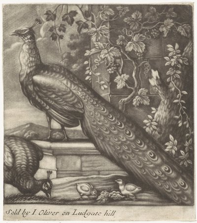 tavus kuşu by Jan Griffier (I)