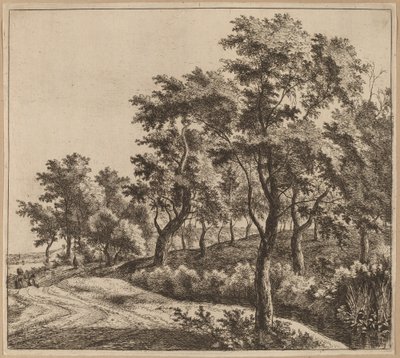 Bir Dere ile Peyzaj by Jan Hackaert