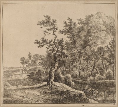 Dolambaçlı Yollu Manzara by Jan Hackaert