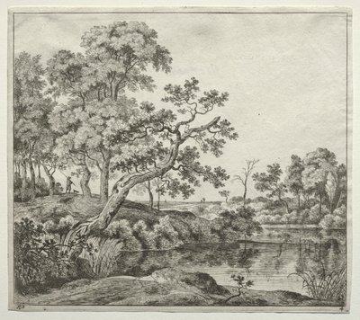  by Jan Hackaert