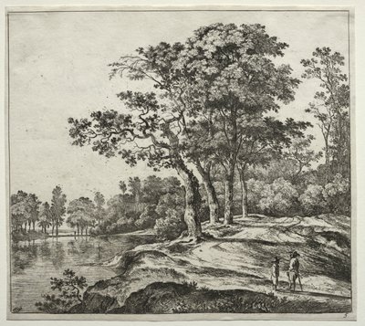  by Jan Hackaert