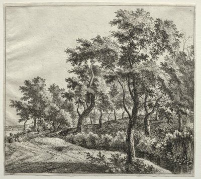  by Jan Hackaert