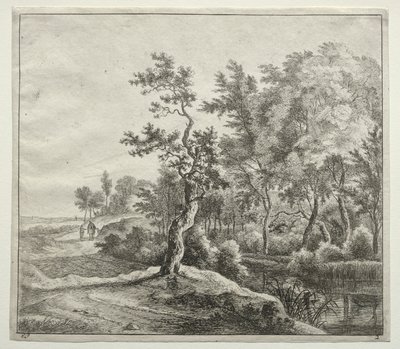  by Jan Hackaert