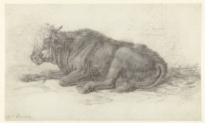 yalancı inek by Jan Joost van Cossiau