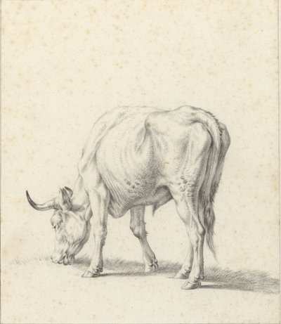 otlayan boğa by Jan Kobell (II)