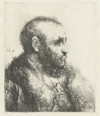 Kürk mantolu yaşlı bir adamın büstü by Jan Lievens