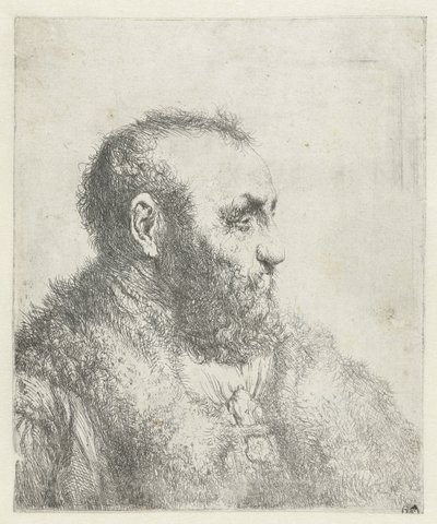 Kürk mantolu yaşlı bir adamın büstü by Jan Lievens