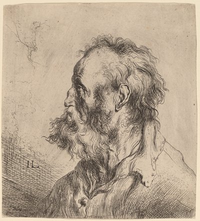 Sakallı Yaşlı Bir Adamın Büstü by Jan Lievens