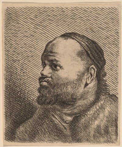 Kalın Dudaklı Bir Adamın Büstü by Jan Lievens